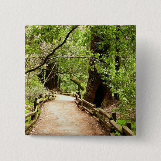 Muir Woods Path II Naturfotografie Button (Vorderseite)