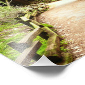 Muir Woods Path II Naturfotografie Fotodruck (Ecke)