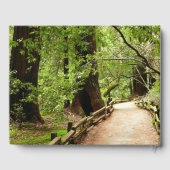Muir Woods Path II Naturfotografie Gästebuch (Rückseite)