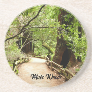 Muir Woods Path II Naturfotografie Getränkeuntersetzer