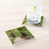 Muir Woods Path II Naturfotografie Glasuntersetzer (Schrägansicht)