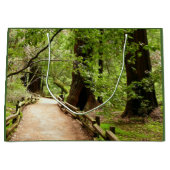Muir Woods Path II Naturfotografie Große Geschenktüte (Vorderseite)