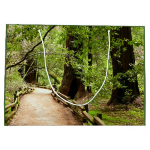 Muir Woods Path II Naturfotografie Große Geschenktüte
