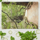 Muir Woods Path II Naturfotografie Handtuch (Gefaltet)