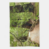 Muir Woods Path II Naturfotografie Handtuch (Vertikal)