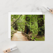 Muir Woods Path II Naturfotografie Karte (Vorderseite/Rückseite Beispiel)