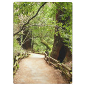 Muir Woods Path II Naturfotografie Klemmbrett (Rückseite)