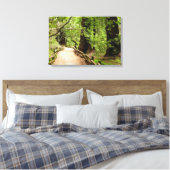 Muir Woods Path II Naturfotografie Leinwanddruck (Insitu (Schlafzimmer))