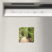 Muir Woods Path II Naturfotografie Magnet (In Situ (Geschirrspüler))