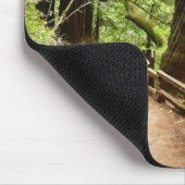 Muir Woods Path II Naturfotografie Mousepad (Ecke)