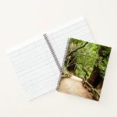 Muir Woods Path II Naturfotografie Notizblock (Innenseite)