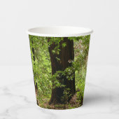 Muir Woods Path II Naturfotografie Pappbecher (Rückseite)