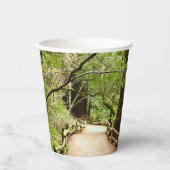 Muir Woods Path II Naturfotografie Pappbecher (Vorderseite)