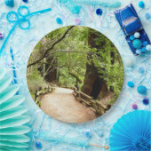 Muir Woods Path II Naturfotografie Pappteller (Party)