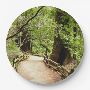 Muir Woods Path II Naturfotografie Pappteller