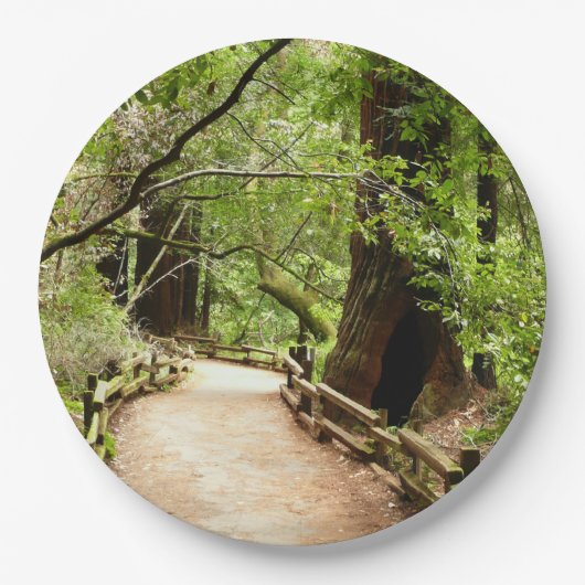 Muir Woods Path II Naturfotografie Pappteller (Vorderseite)