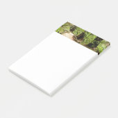 Muir Woods Path II Naturfotografie Post-it Klebezettel (angewinkelt)