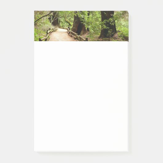 Muir Woods Path II Naturfotografie Post-it Klebezettel (Vorderseite)