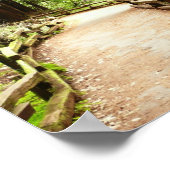 Muir Woods Path II Naturfotografie Poster (Ecke)