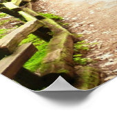 Muir Woods Path II Naturfotografie Poster (Ecke)