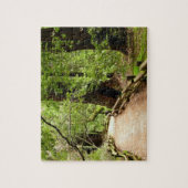 Muir Woods Path II Naturfotografie Puzzle (Vertikal)