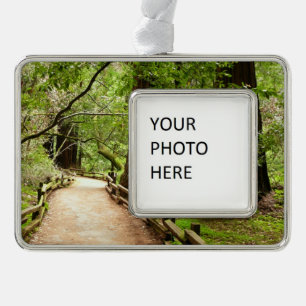Muir Woods Path II Naturfotografie Rahmen-Ornament Silber