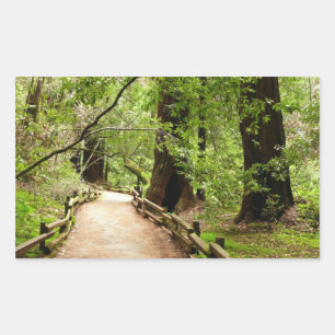 Muir Woods Path II Naturfotografie Rechteckiger Aufkleber