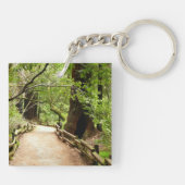 Muir Woods Path II Naturfotografie Schlüsselanhänger (Rückseite)