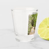 Muir Woods Path II Naturfotografie Schnapsglas (Links)