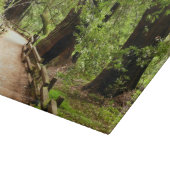 Muir Woods Path II Naturfotografie Schneidebrett (Ecke)