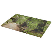 Muir Woods Path II Naturfotografie Schneidebrett (Ecke)