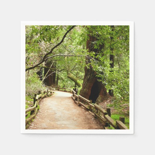 Muir Woods Path II Naturfotografie Serviette (Vorderseite)