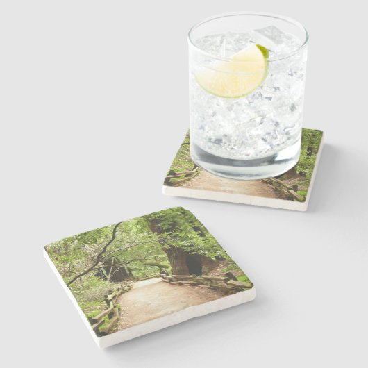 Muir Woods Path II Naturfotografie Steinuntersetzer (Seitenansicht)