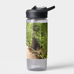 Muir Woods Pfad II Naturfotografie Trinkflasche