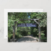 Muir Woods Post Card Postkarte (Vorne/Hinten)