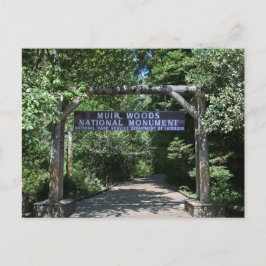 Muir Woods Post Card Postkarte
