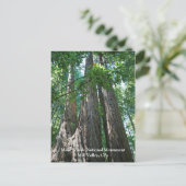 Muir Woods Post Card Postkarte (Stehend Vorderseite)