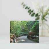Muir Woods Post Card Postkarte (Stehend Vorderseite)