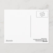 Muir Woods Post Card Postkarte (Rückseite)