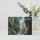 Muir Woods Post Card Postkarte (Stehend Vorderseite)