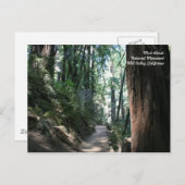 Muir Woods Post Card Postkarte (Vorne/Hinten)