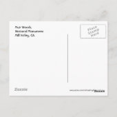 Muir Woods, Postcard Postkarte (Rückseite)