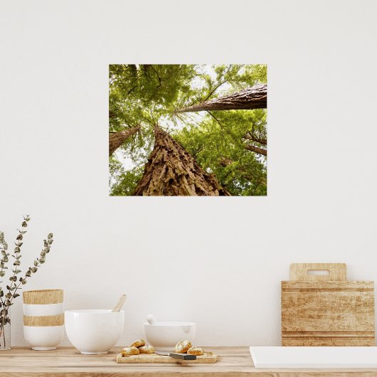 Muir Woods Poster (Küche)