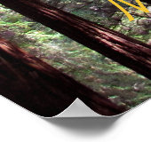 Muir Woods Poster (Ecke)