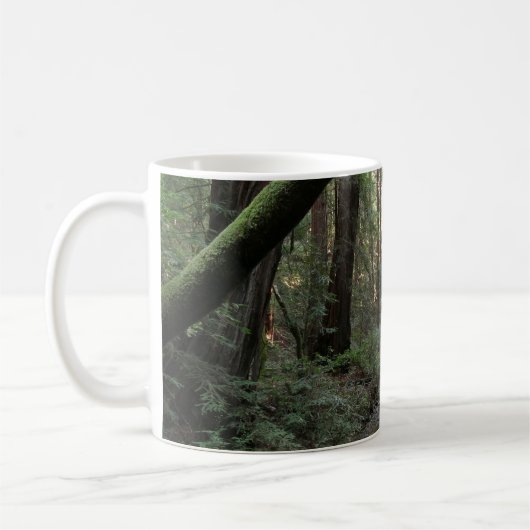 Muir Woods Stream Forest Landschaft Kaffeetasse (Links)