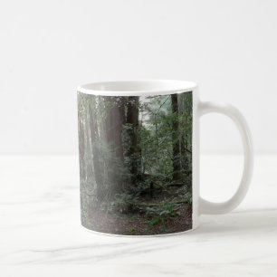 Muir Woods Stream Forest Landschaft Kaffeetasse
