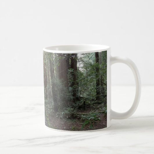 Muir Woods Stream Forest Landschaft Kaffeetasse (Rechts)