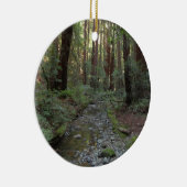 Muir Woods Stream Forest Landschaft Keramik Ornament (Rechts)