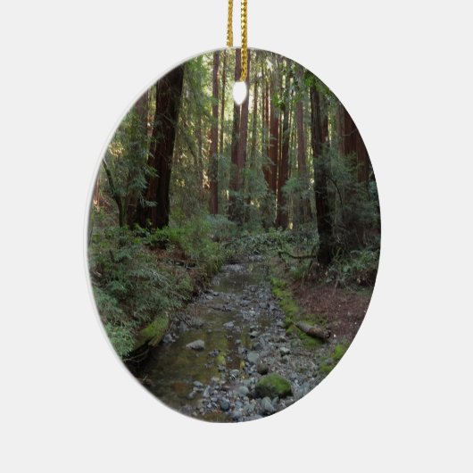 Muir Woods Stream Forest Landschaft Keramik Ornament (Rechts)