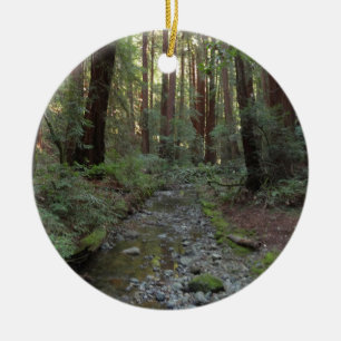 Muir Woods Stream Forest Landschaft Keramik Ornament